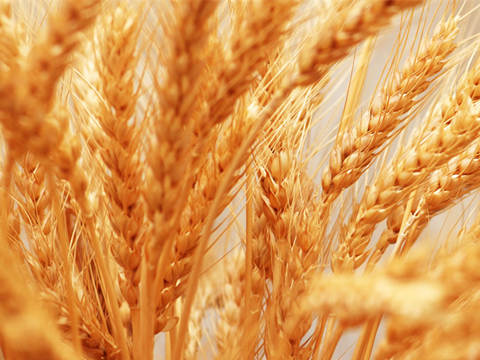 С��۸�Ҫ�ǣ�