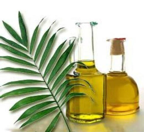 ����ͣ����������Ѹ�