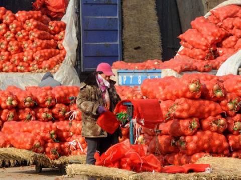 寒潮致蔬菜大涨价 关注天气 及时出售