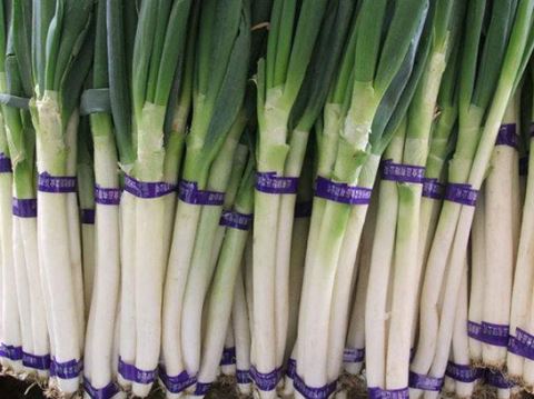 岁末双节带来大葱行情利好 切忌盲目